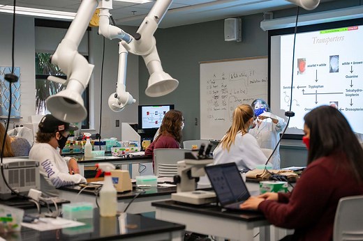 Learning Our Way: How Professors Are Maximizing Hybrid Teaching