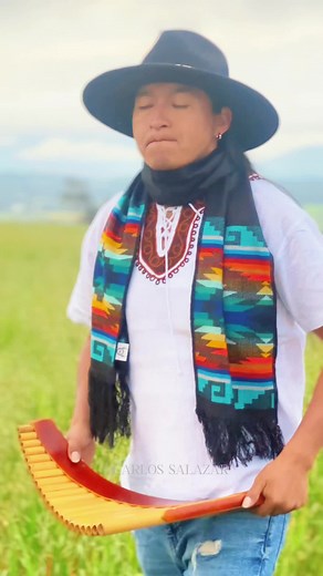 El Condor Pasa: A Journey Through Andean Music