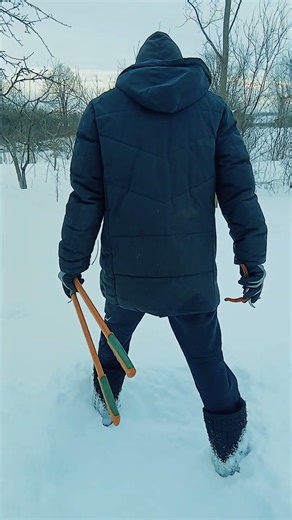 Winter Pruning Gala Apple Tree: No AI, Real Life - ガラ林檎の冬の剪定