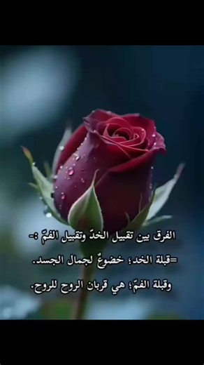 Vidéos de Anas Ben Al-Nadr (@anasbenalnadr1) avec الصوت الأصلي - Anas Ben Al-Nadr