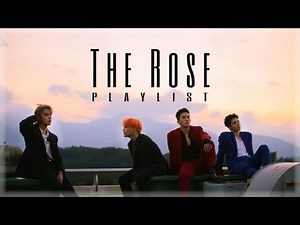 The Rose Playlist - All songs & OST | i’mJam