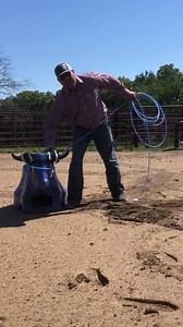 Quick tip….sharp head loops. | Chad Mathes Roping
