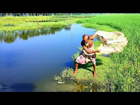 Amazing Indian River Caught Net Fishing Videos