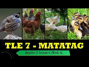 TLE 7 - MATATAG CURRICULUM [Q2/Lesson 6, Week 4]