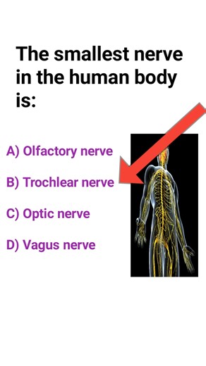 54K views · 844 reactions | Biology quiz  | Conceptual Biologist | Facebook