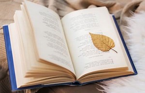 Prose poems: Origin, definition, characteristics and more ▷➡️ Postposmo