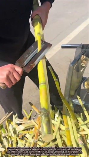 Manual Peeling of Bamboo Stalks with a Knife for Sustainable Use