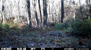 In for the close-up... | SPYPOINT Trail Cameras