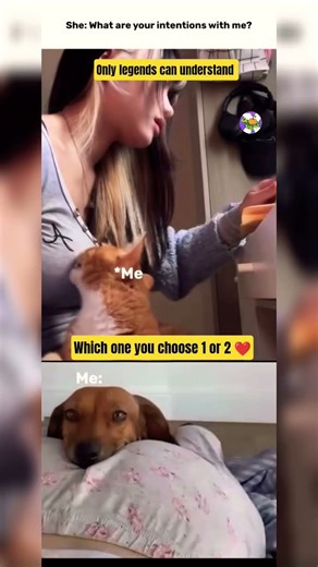 She asked my intentions… my soul immediately logged out 😭🐶 #memes #datinglife #shorts