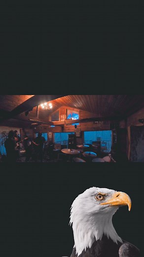 Time keeps one slippin..🦅 | Mystery Machine