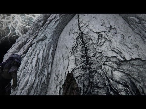 ELDEN RING NIGHTREIGN Deep of Night Duchess w/ randoms VS Gladius