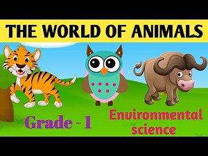 The World of Animals EVS topic for class 1 | Animal World | Types of Animals | Birds | Insects
