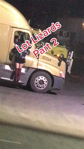 Exploring the Life of Lot Lizards in Northern California