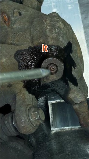Snapped Brake Caliper Bleeder Screw – Tried Everything😤