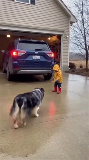 Gorilla on Instagram: "Japan is turning footsteps into electricity! 👣⚡ Using piezoelectric technology, Japan is proving that even a simple walk can power the future. 🌍 At Tokyo’s Shibuya Station, over 2.4 million daily commuters generate energy to light up LED displays and ticket gates! 💡🚉 How it works: Each step creates mechanical pressure Special tiles convert it into electric power New systems can generate up to 30 watts per step! 🔋 This innovation shows how human movement = renewable en