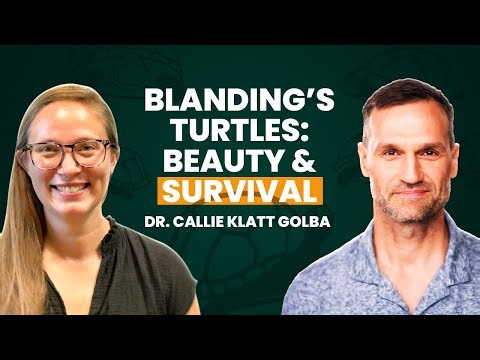 Can These Smiling Turtles Teach Us About Conservation? @primalbiology