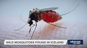 Amazon discreetly visits HQ2 cities in Phase 2 of extraordinary second headquarters competition