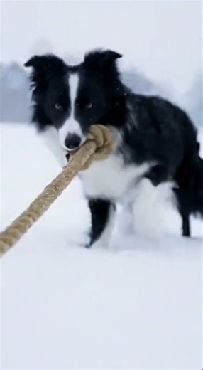 Cold sweat when I heard the rope popping 🔊😰 #Tense #Real