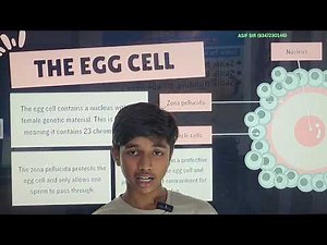 1. "Egg Cell Explained | Structure & Function of the Ovum"👉 Simple and direct, for students .