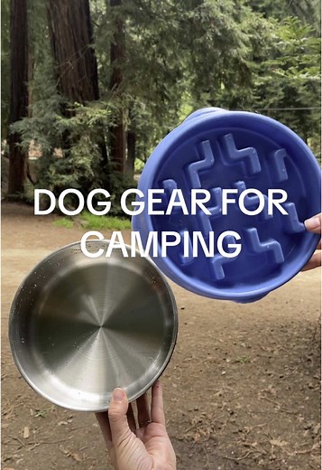 Replying to @Fangbanger Chronic over packer but would hate to not have something in the case of an emergency. Most items can be found in my storefront under camping! Brands: @Wondercide @earthrated @Goldie Dog Essentials @Petals and Tails 🌸🌱 @Nite Ize @Spot & Tango @Buddy #campingwithdogs #dogfriendlytravel #outdoorsy #camping #travelwithdogs #vanlifewithadog #goldenretriever #dogmom #doggear #dogmusthaves