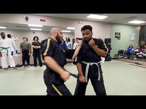 Hung Gar: Uppercuts, Trapping & Nerve Destruction