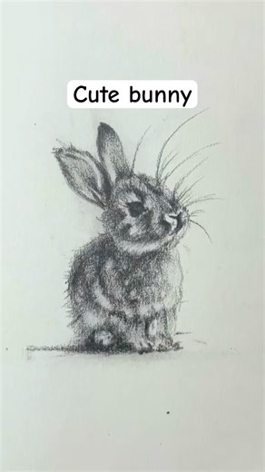 How to draw rabbit with charcoal 🐇 | easy for beginners #shorts