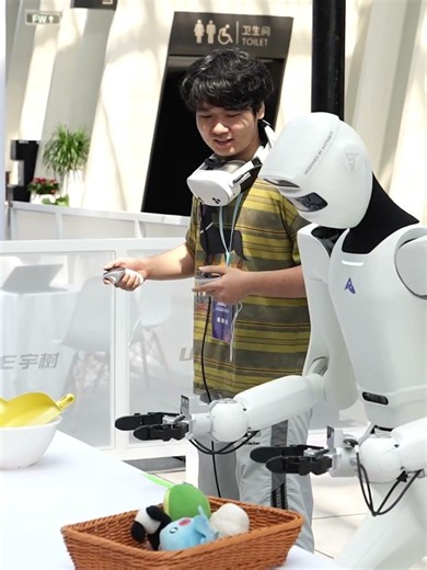 Amazing Robot Performances at Wuxi Embodied Intelligence Expo
