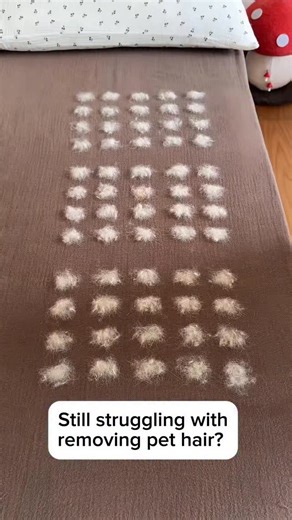 3.7K views · 3.3K reactions | Never struggle to remove your pets hair ever again just swipe and done  Link in bio for yours ❤️ #musthave #petlover #pet #petcare #dog #cat #petmusthaves | PawThentic Picks | Facebook