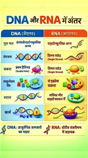 DNA vs RNA in Hindi | DNA aur RNA me kya difference hai? 🧬#motivation #upsc