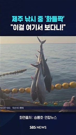 Stunned by a 3m-long creature while fishing in Jeju #shorts