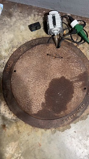 New Additions to the Eel Pit: Channel Catfish and Bullhead Catfish