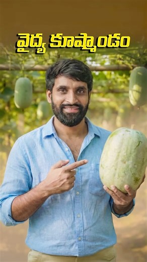 Shiva Reddy Chinthalapally on Instagram: "Ash gourd 👌❤️"