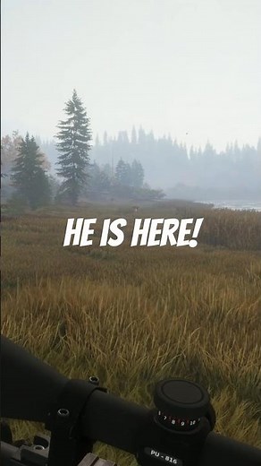 It was a near-blind shot! The Hunter Call of the Wild #gameplay #huntingsimulator #huntinggames