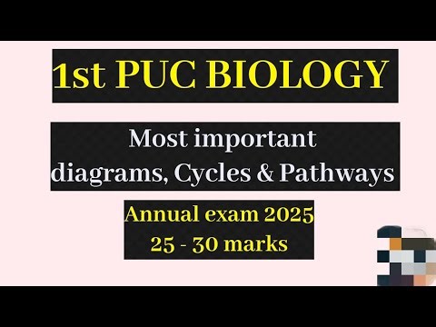 1st PUC Biology Important Diagrams, Cycles and Pathways for Annual exam 2025 | I PUC Biology