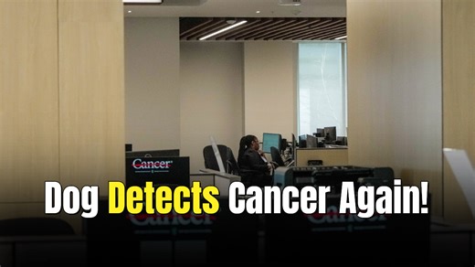 A dog once sniffed cancer in the husband. Years later, it saved the wife too