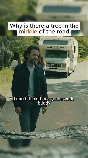 Why is there a tree in themiddle of the road.?