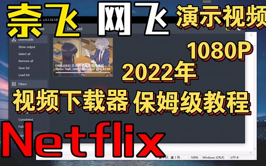 【④下载器演示】【网飞】【奈飞】【Nerflix】视频下载器 2022年最新教程，手把手教你下载1080P的高清视频。