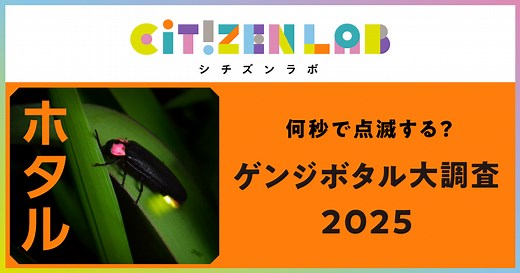 ホタル大調査｜NHKシチズンラボ
