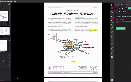 Drawboard PDF Tutorial - Text Review