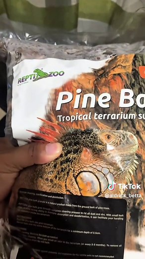 Sulcata Tortoise Enclosure: Basic Setup Guide