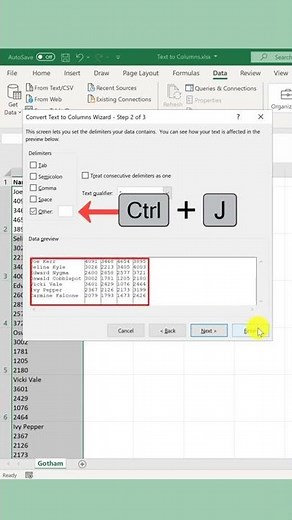 Text to Columns in Excel 🚀 #shorts