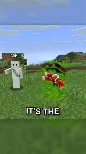 That can TELEPORT? #minecraft #sift #minecafttricks #endupdate