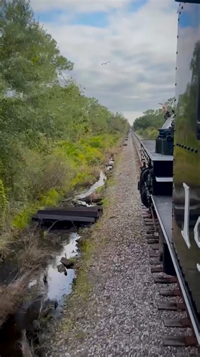 March is here — and it's time Raise Cane! 🚂🌱 Catch us during the Clewiston Sugar Festival on March 13th or 14th, or aboard the NEWLY added Lake Placid Limited excursion on March 28th. | Sugar Express