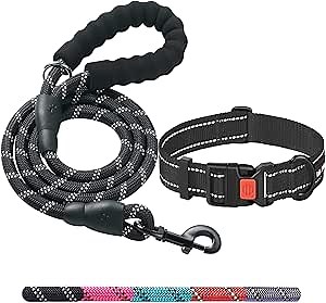 Heavy Duty Dog Leash - Comfortable Padded Handle, 5 ft Long - Dog Leashes for Small Medium Large Dogs (Leash+Collar S Neck 13.5"-16", Black)