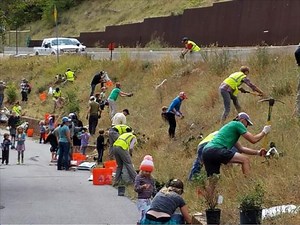 Riparian repairs: Eagle River Watershed Council completes restoration projects with Vail Resorts