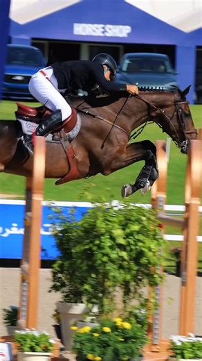 Ghali Boukaa Show Jumper on Instagram: "Grand Prix 4* CSIO RABAT : A Kyss encore et toujours présente à mes côtés hier pour le Grand Prix 4* du CSIO de Rabat. Elle nous a une nouvelle fois prouvé qu’elle guerrière elle est et prend la 6ème place de cet exceptionnel Grand Prix. Tout cela ne serait pas possible sans l’équipe formidable qui m’épaule au quotidien et sans Karim Tazi propriétaire de cette fabuleuse jument 🙏🏻. Travail de réalisation @rm.lights 👏🏻#inhorse