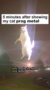 81K views · 699 reactions | Mistakes were made #progressivemetal #metalmemes #progmetal #metalmeme #progrock #metal #metalhead #metalheads | The Circle Pit | Facebook