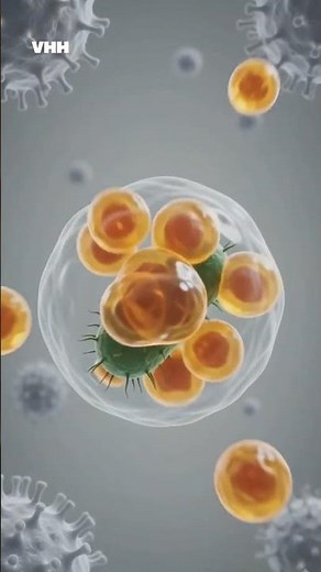 ⭐ Episode 32 | How White Blood Cells Kill Deadly Bacteria