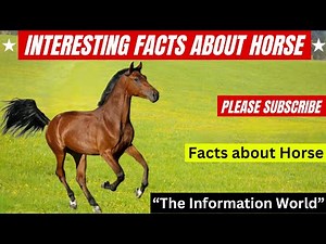 Interesting Facts about Horse | Facts about Horse | Horse Facts | Facts for Kids | Kids Animal Facts