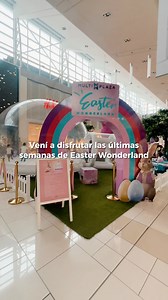 196 reactions · 14 shares | Las últimas semanas de Easter Wonderland vienen cargadas de sorpresas y mucha diversión, ahora de lunes a miércoles te tenemos 2x1 para que traigás a los más pequeños por momentos llenos de magia  ¿Qué esperás para traerlos? ✨ Multiplaza Curridabat #Multiplaza #EasterWonderland | Multiplaza Costa Rica | Facebook